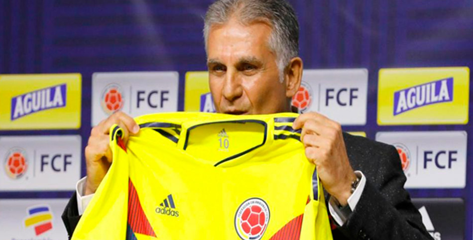 rdfbsgf-sf