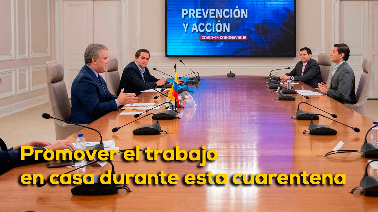 vbimmb